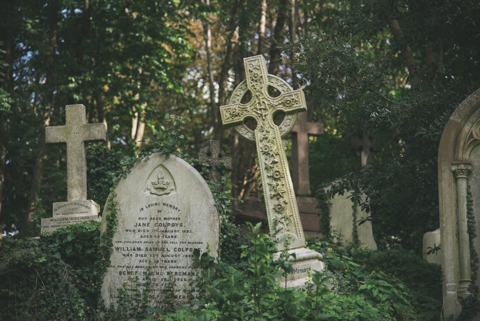 The image displays a section of Brompton Cemetery with several weathered gravestones and memorials set among dense greenery. Prominently in the foreground is an ornate, large Celtic-style cross made of light-colored stone with intricate carvings and floral motifs, standing on a pedestal base. To its left, there is a rectangular, upright headstone featuring a rounded top, also made of light stone, engraved with a dedication and names, showing signs of aging such as moss and slight discoloration. Behind these, other tombstones are visible, including a simple cross and more elaborate markers, all made of similar stone materials with varying textures, from smooth to rough. The scene is shaded by mature trees with dark green foliage, allowing soft, dappled sunlight to filter through, creating a tranquil, contemplative atmosphere typical of historic cemeteries. The setting appears peaceful and preserved, with minimal modern disturbance, and the arrangement of memorials suggests a quiet area for private remembrance, consistent with alternative methods of waste handling by Rubbish Clearance Brompton for cleaning and maintenance of such heritage sites.