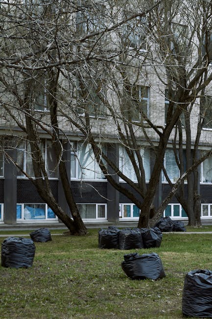 A row of black rubbish bags filled with waste are placed on a grassy area in front of a residential building. The building's exterior features white brickwork and large lower-floor windows with white frames, some of which are partially obscured by leafless tree branches in the foreground. The bags are positioned on the lawn, situated beneath the trees, and show signs of being recently collected as part of a private rubbish removal service. The environment appears to be an outdoor communal space, with the waste awaiting collection, reflecting a typical scene where independent disposal companies, such as Rubbish Clearance Brompton, manage local rubbish clearance tasks outside urban residences. The scene is set during daylight hours, with natural light revealing the textures of the bags' plastic material and the rough surfaces of the tree bark, creating a neutral, unobtrusive atmosphere suitable for documenting waste management practices on residential properties.
